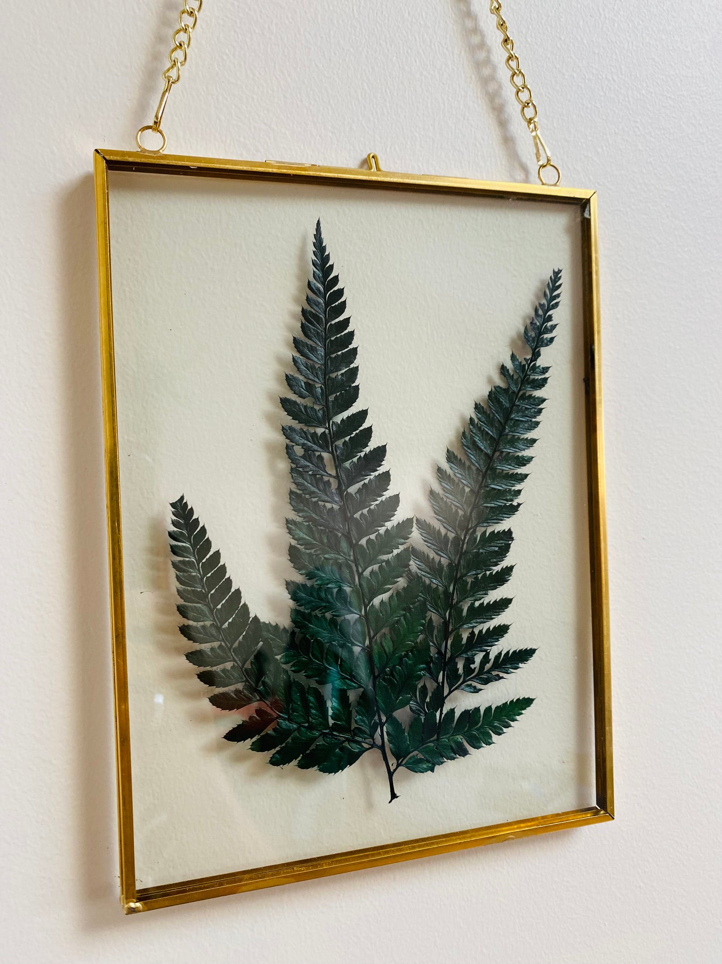 Cadre vintage en laiton doré – Fougère Stabilisée Verte