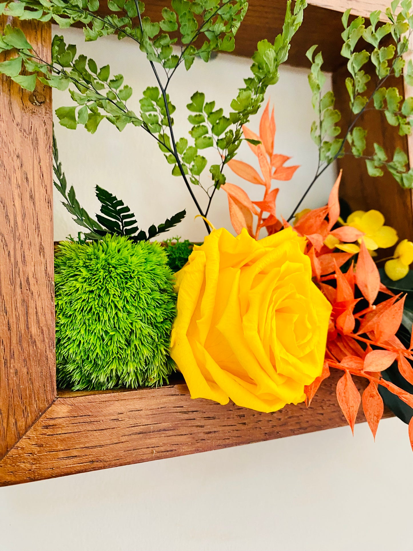 Cadre Vegetal Stabilise Chene 3D "Horizon Solaire"