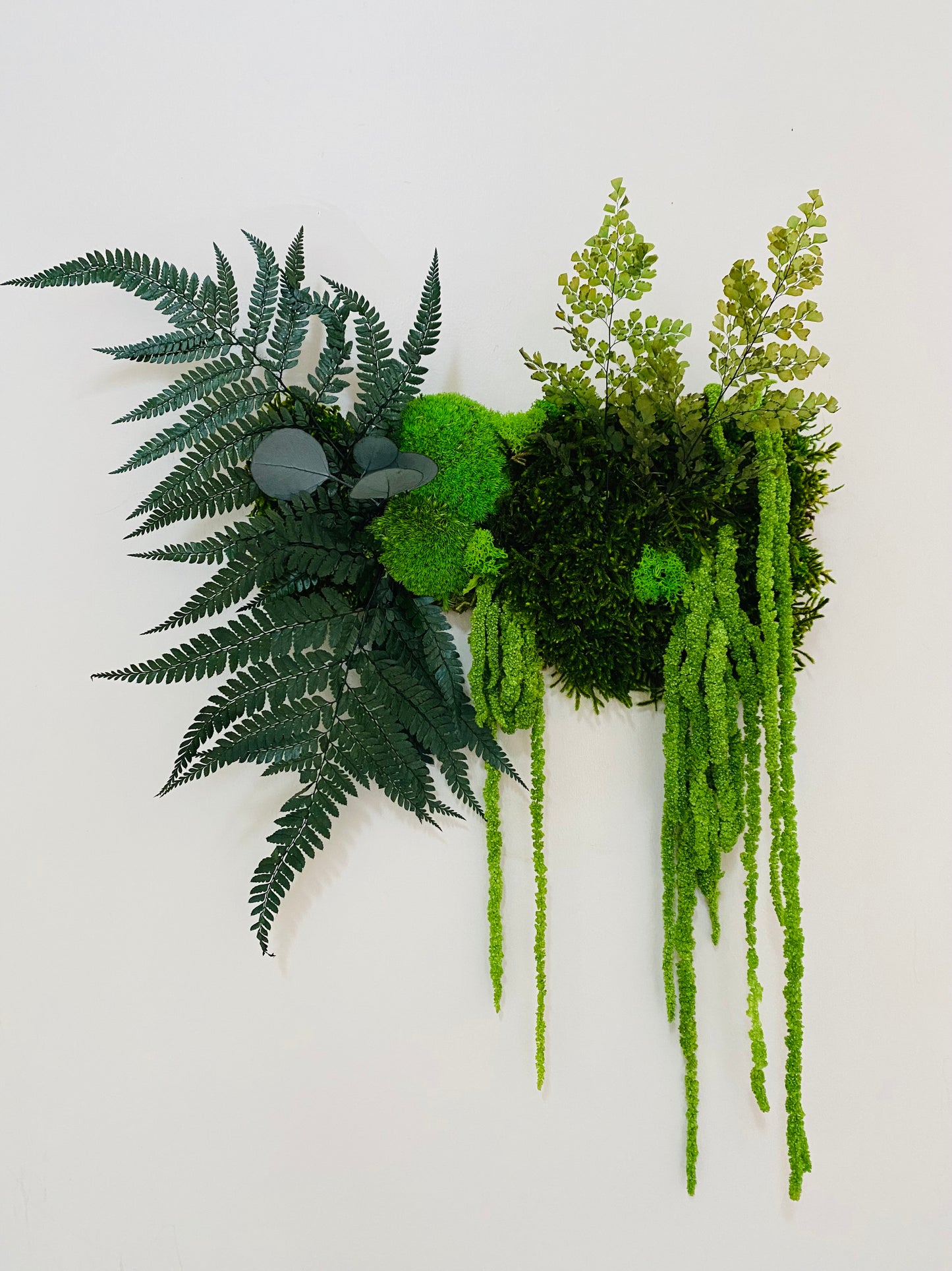 Tableau Vegetal Stabilise Canopée