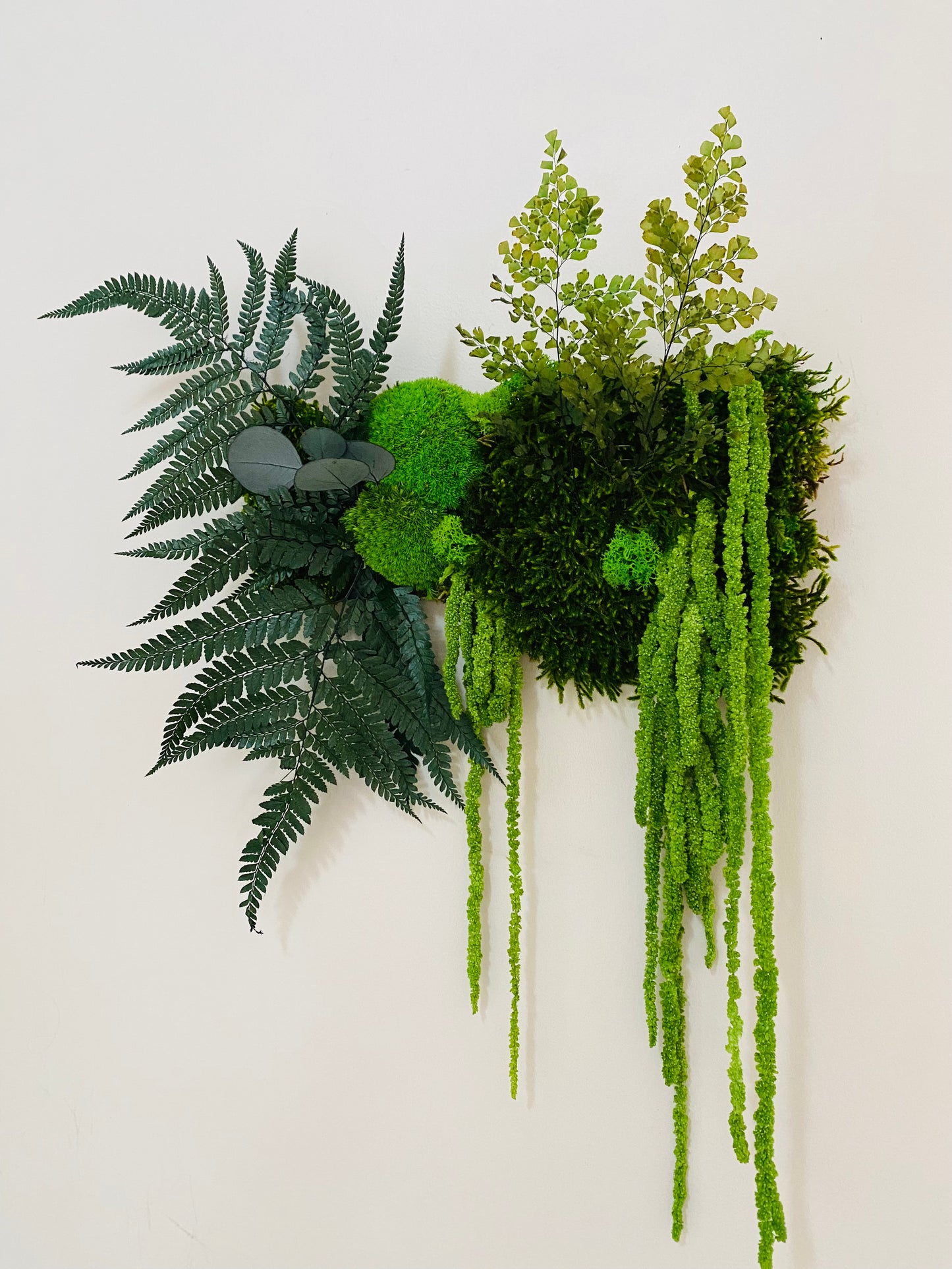 Tableau Vegetal Stabilise Canopée