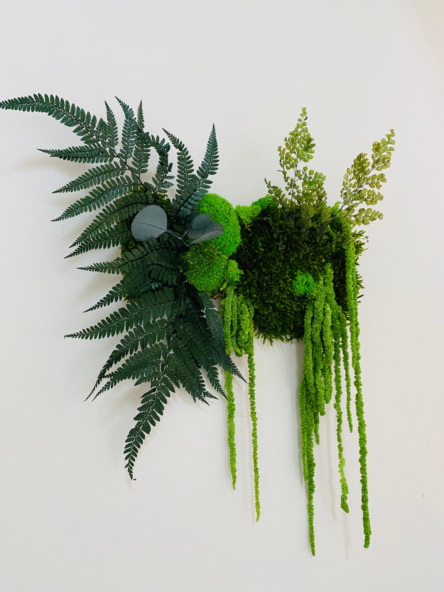 Tableau Vegetal Stabilise Canopée