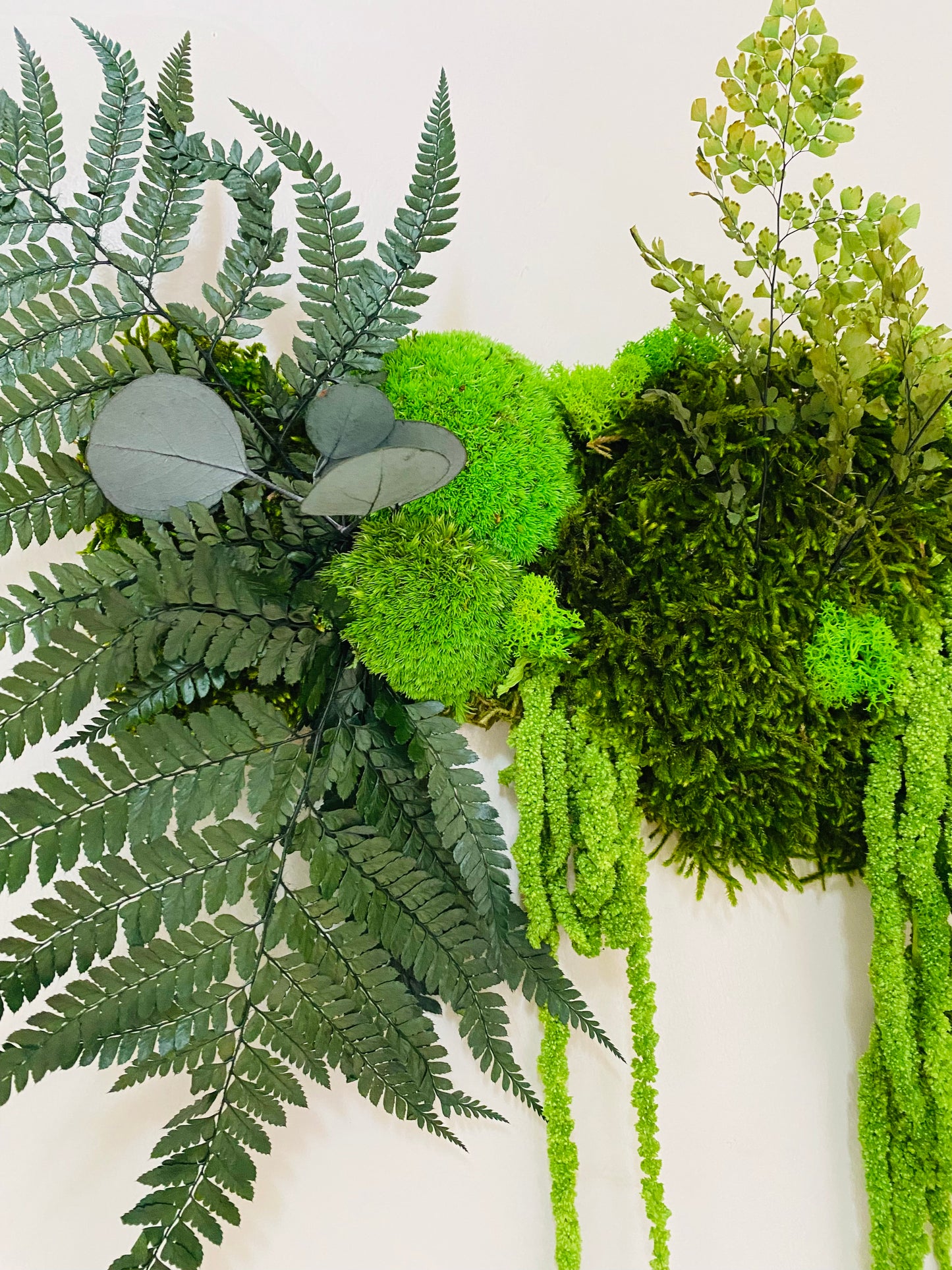 Tableau Vegetal Stabilise Canopée