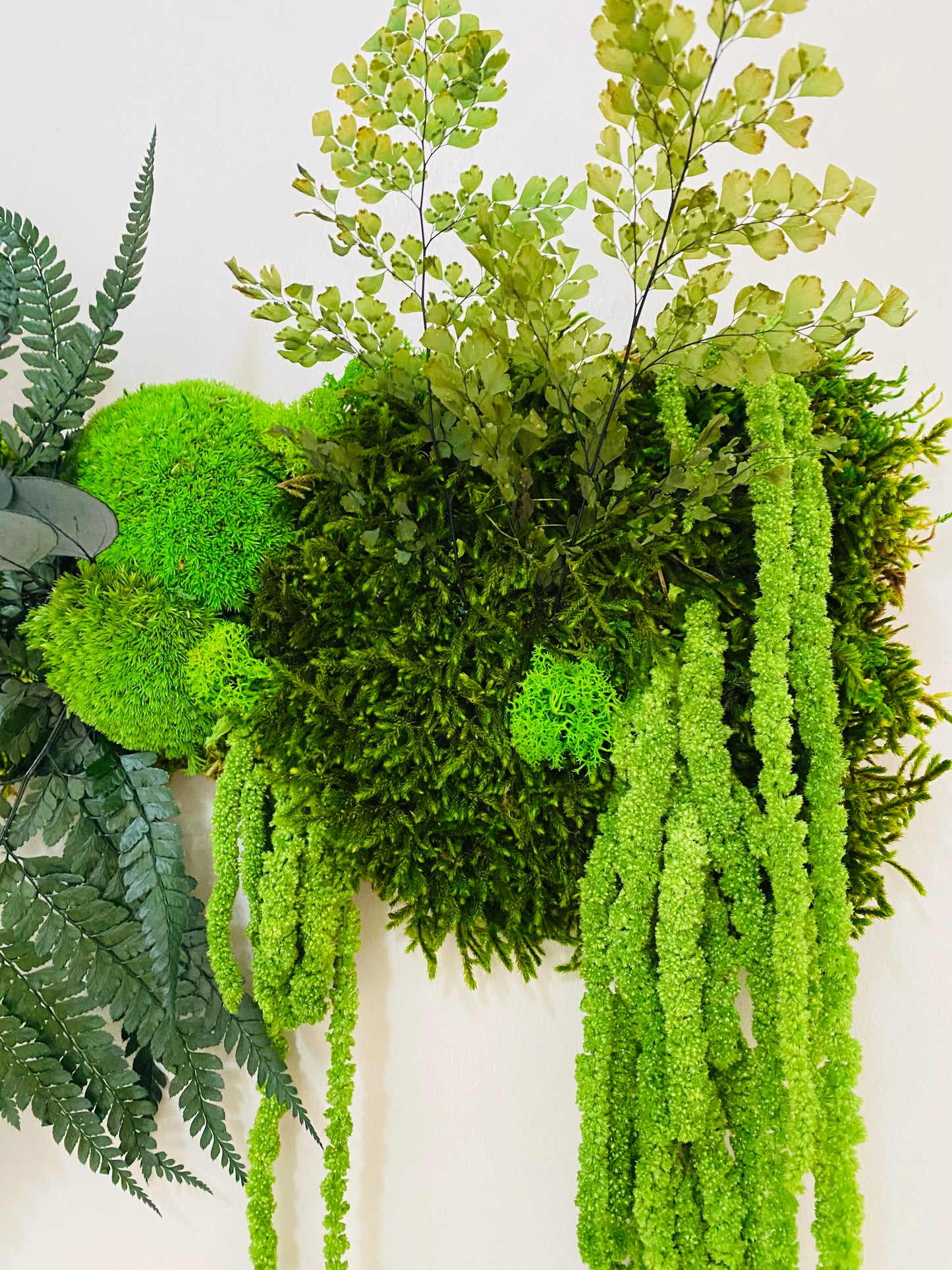 Tableau Vegetal Stabilise Canopée