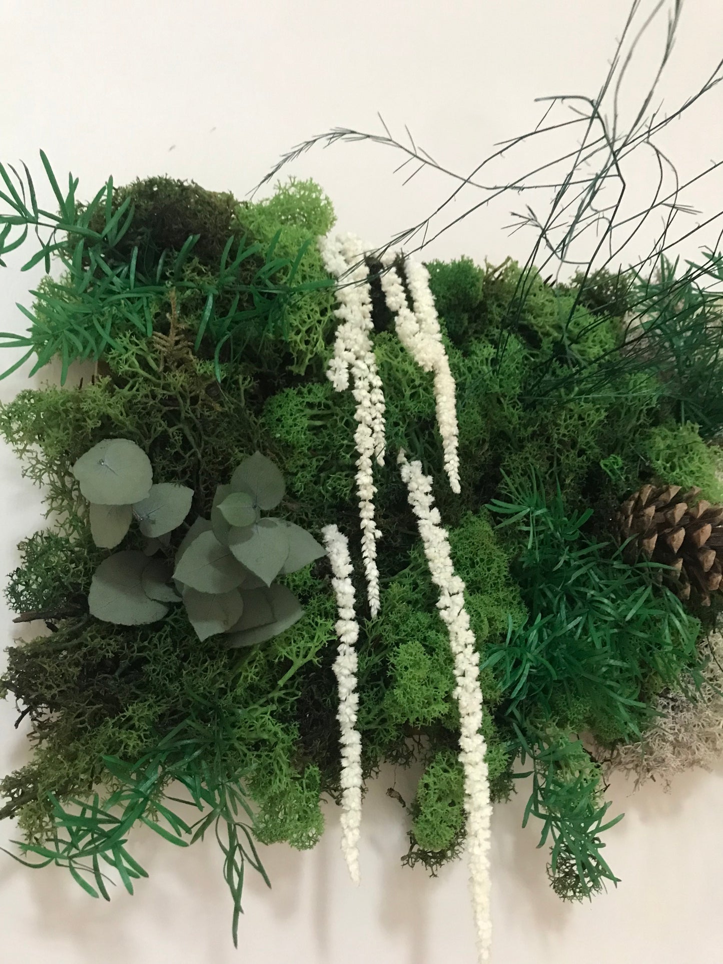 Tableau Vegetal Plantes Stabilisees