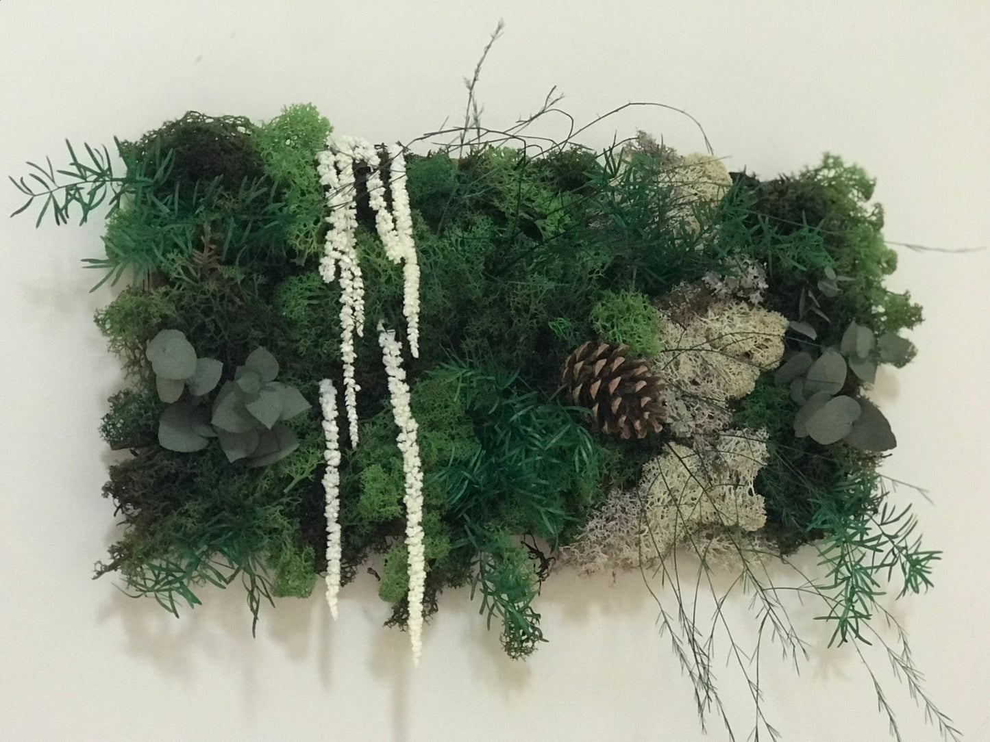 Tableau Vegetal Plantes Stabilisees