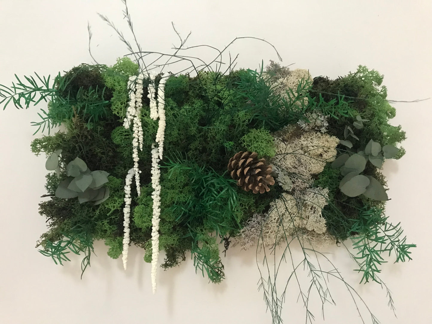 Tableau Vegetal Plantes Stabilisees