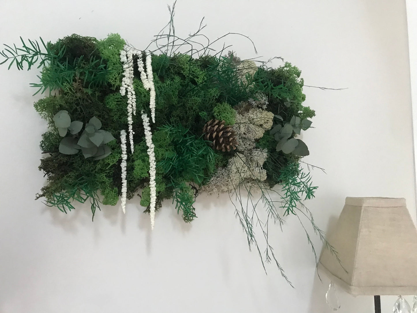 Tableau Vegetal Plantes Stabilisees