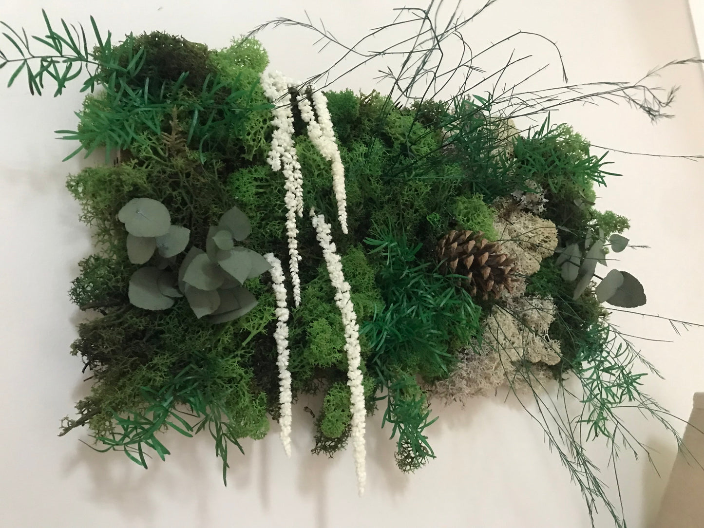 Tableau Vegetal Plantes Stabilisees