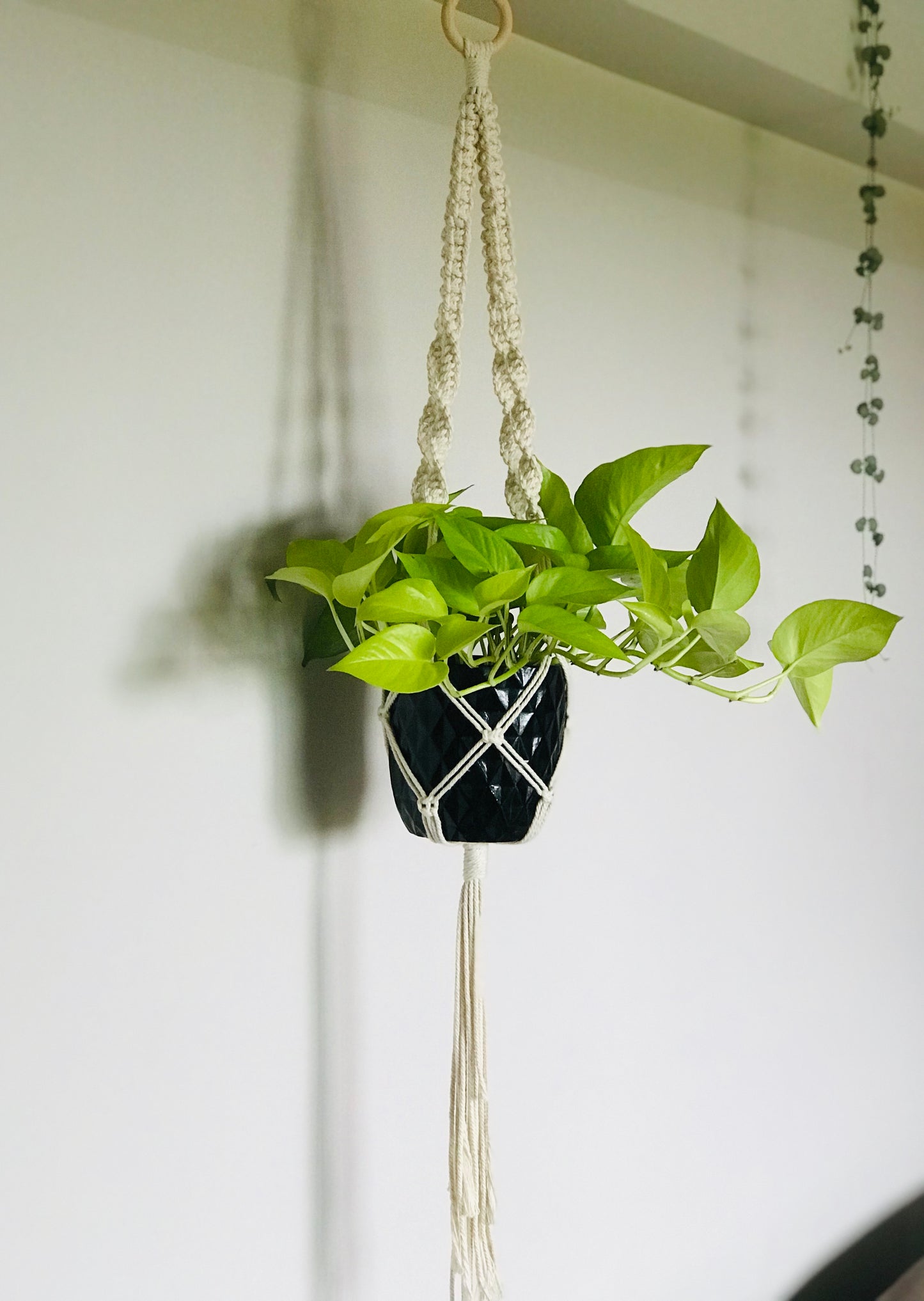 Suspension Plante Macrame