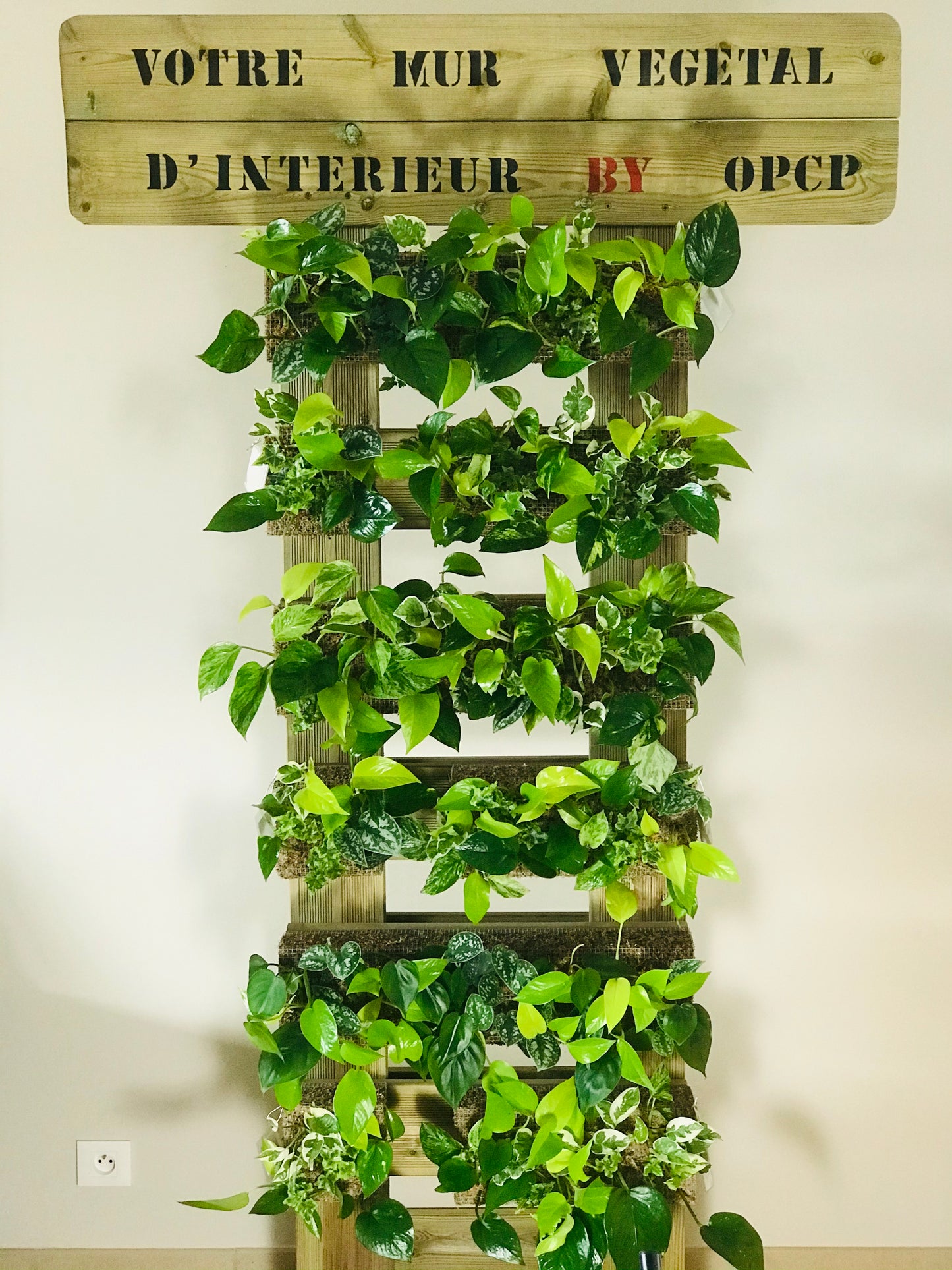 Mur Vegetal d'Interieur