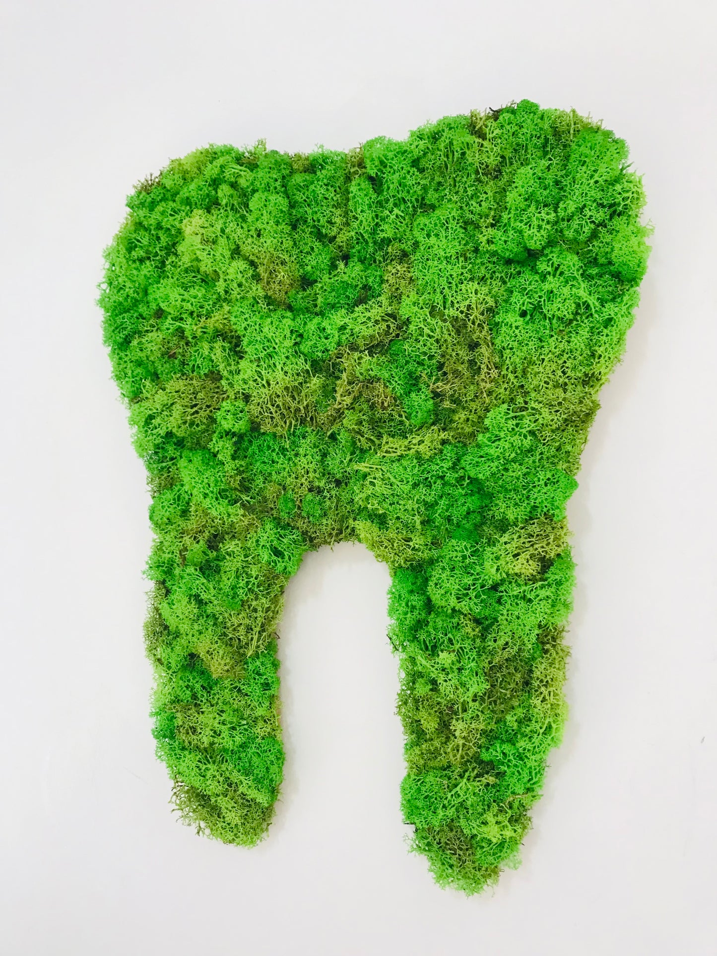 Logo Vegetal