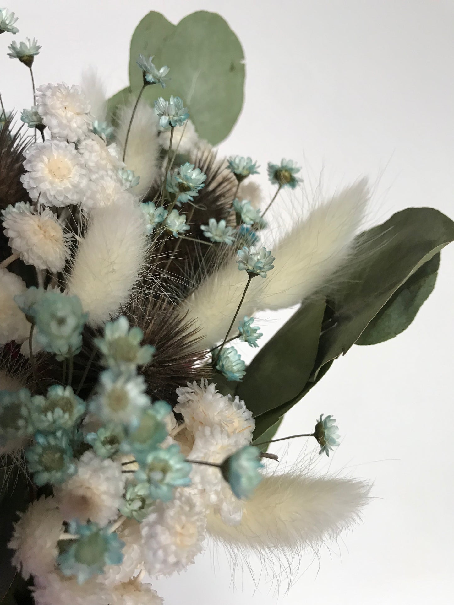 Bouquet de fleurs sechees Eucalyptus Chardon / Bleute