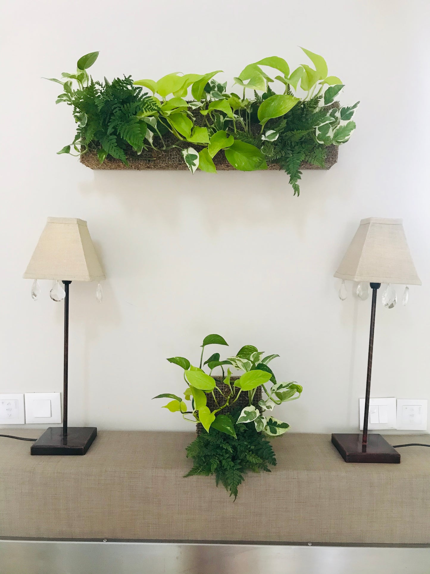 Mur Vegetal d'Interieur