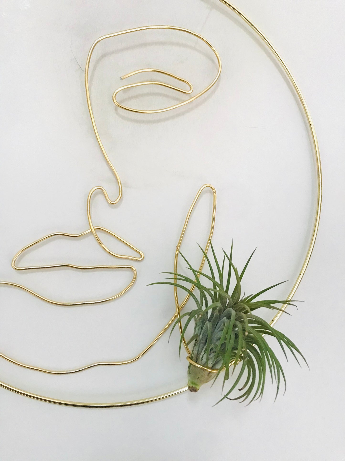 Couronne Tillandsia Visage Femme Face