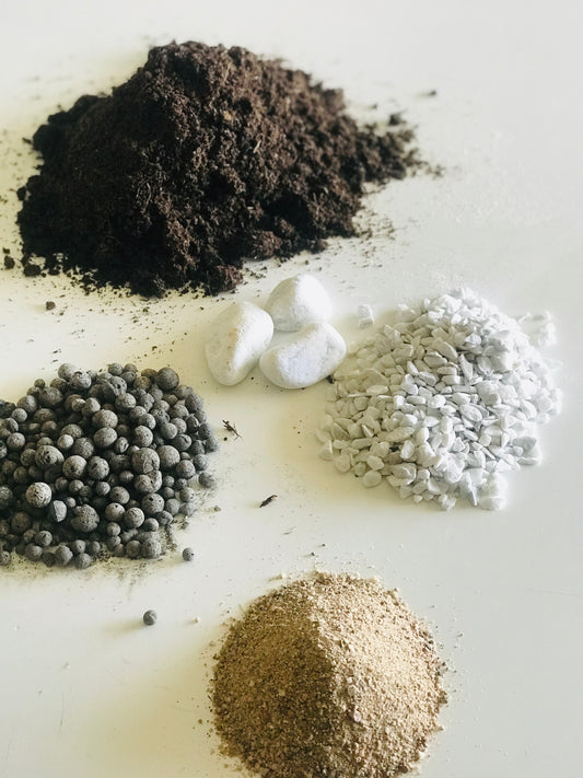 Kit Terrarium Cactus et Succulentes