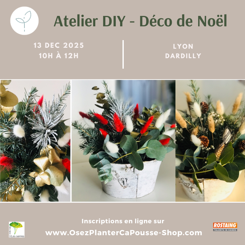 Atelier DIY Décoration de NOEL