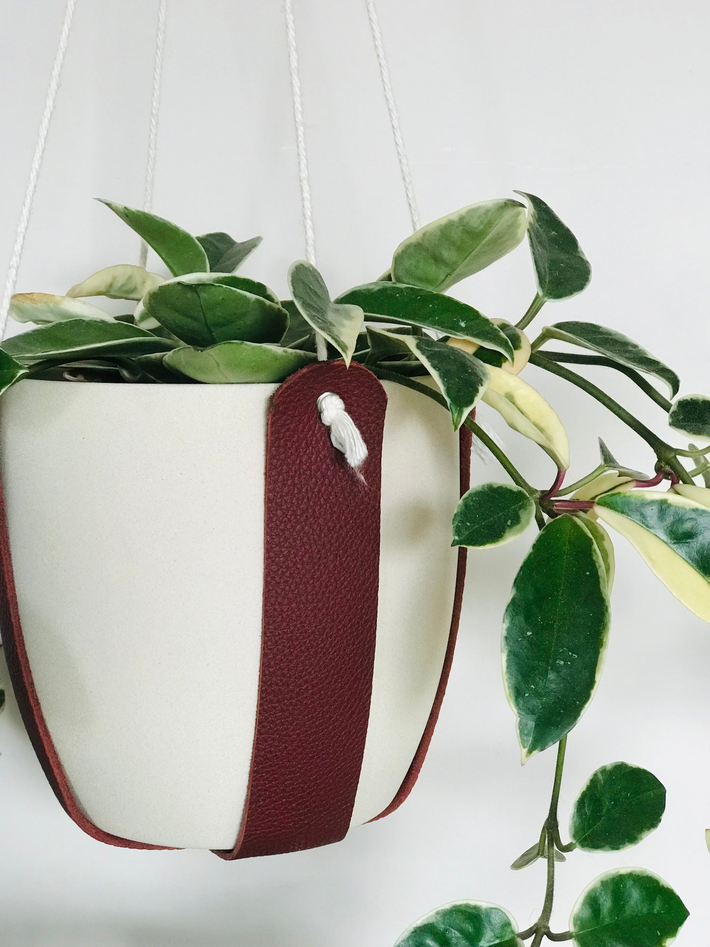 Suspension Plante 100% cuir grainé - 6 coloris