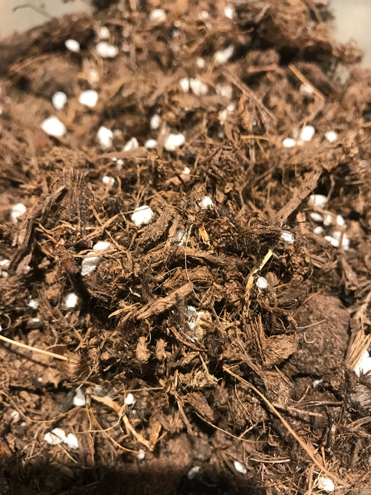 Kit terreau plantes tropicales prêt à l’emploi