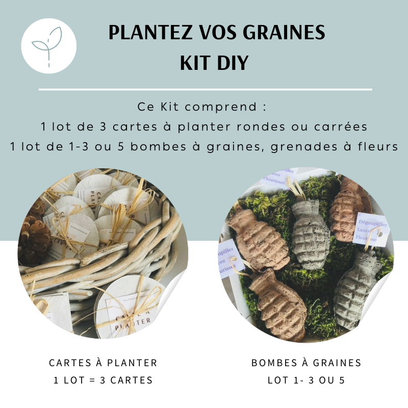 Kit planter vos graines, cartes à planter et bombes de graines, cadeau RSE éco-responsable