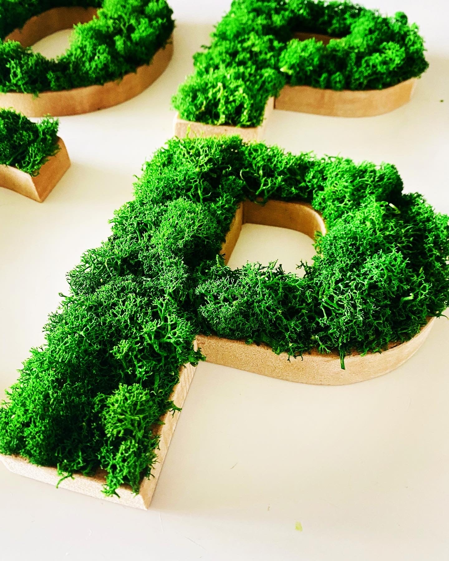 Lettre mousse vegetale