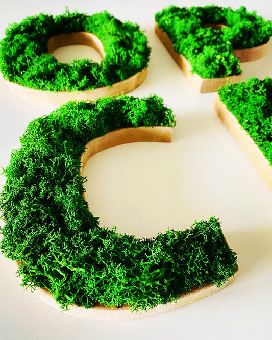 Lettre mousse vegetale