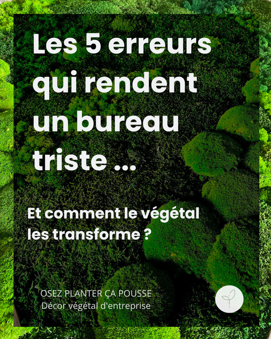 Erreur n°1 : accueil d'entreprise sans personnalité – mur végétal stabilisé sur mesure pour transformer votre espace de réception