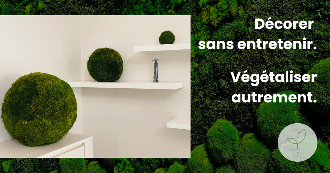 Décorer sans entretenir : pourquoi les plantes stabilisées changent la façon de végétaliser son intérieur