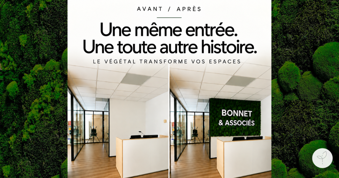 Avant après décoration végétale stabilisée dans un accueil d'entreprise.