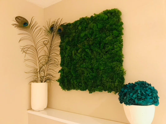 Panneau mousse végétale stabilisée 50x50cm, coloris vert naturel, vue d'ensemble