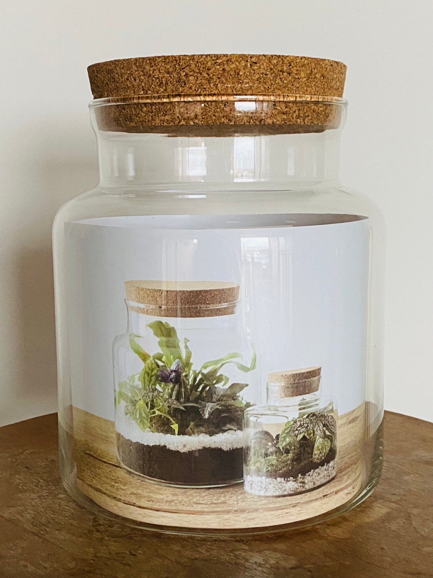 Bocal terrarium en verre bouchon liège, kit DIY paysage végétal miniature, vue d'ensemble
