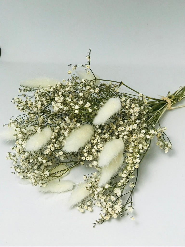 Bouquet de fleurs sechees Blanc