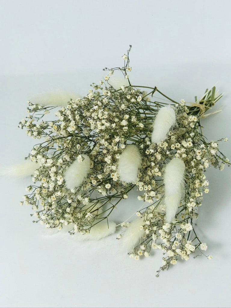 Bouquet de fleurs sechees Blanc