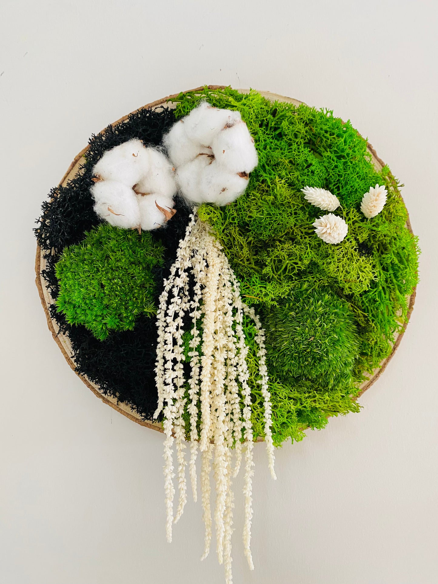 Rondin Vegetal Stabilise 'Coton Cristal'