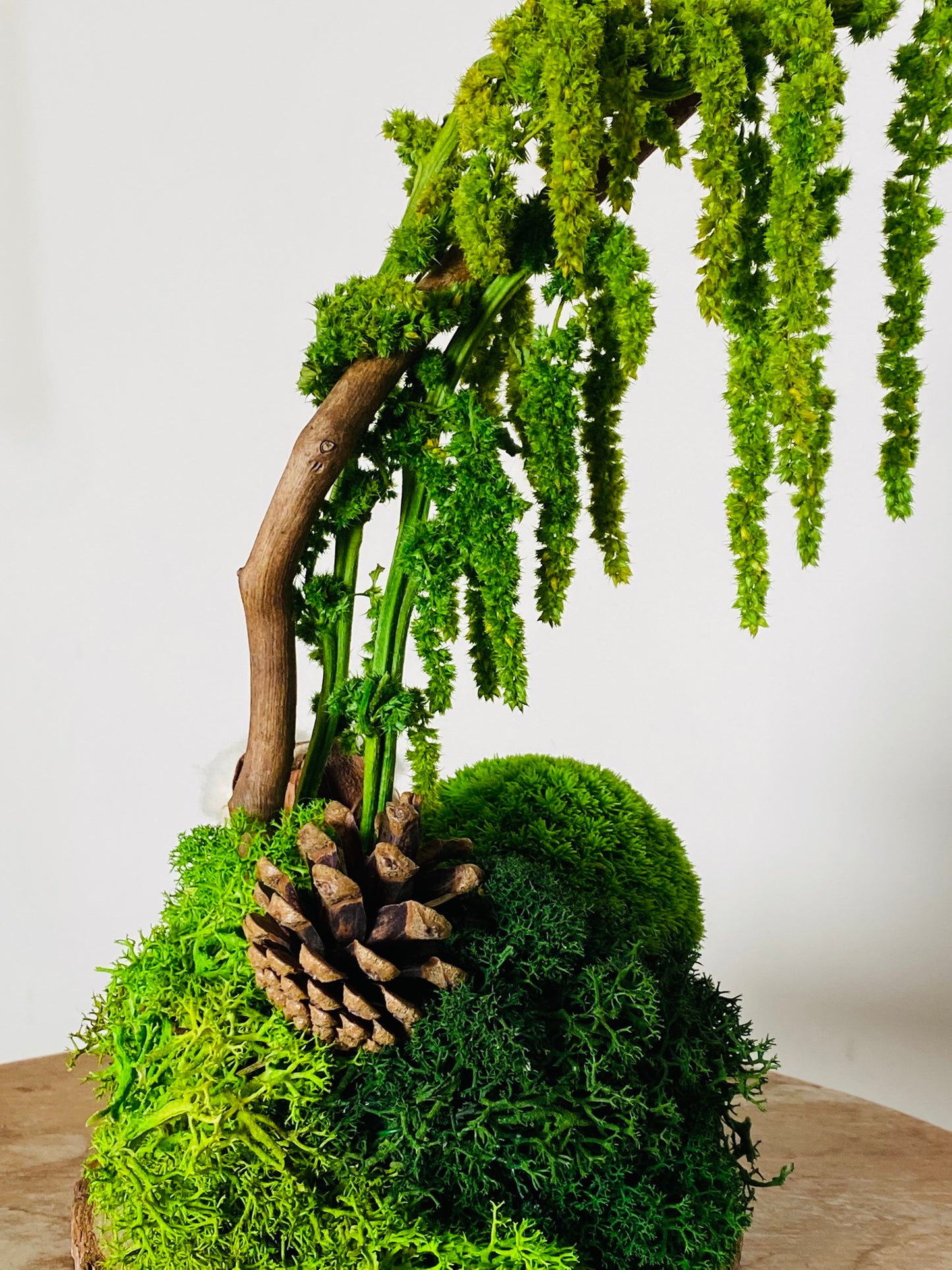 Green Wood, détail amarante stabilisée sur branche de bois naturel
