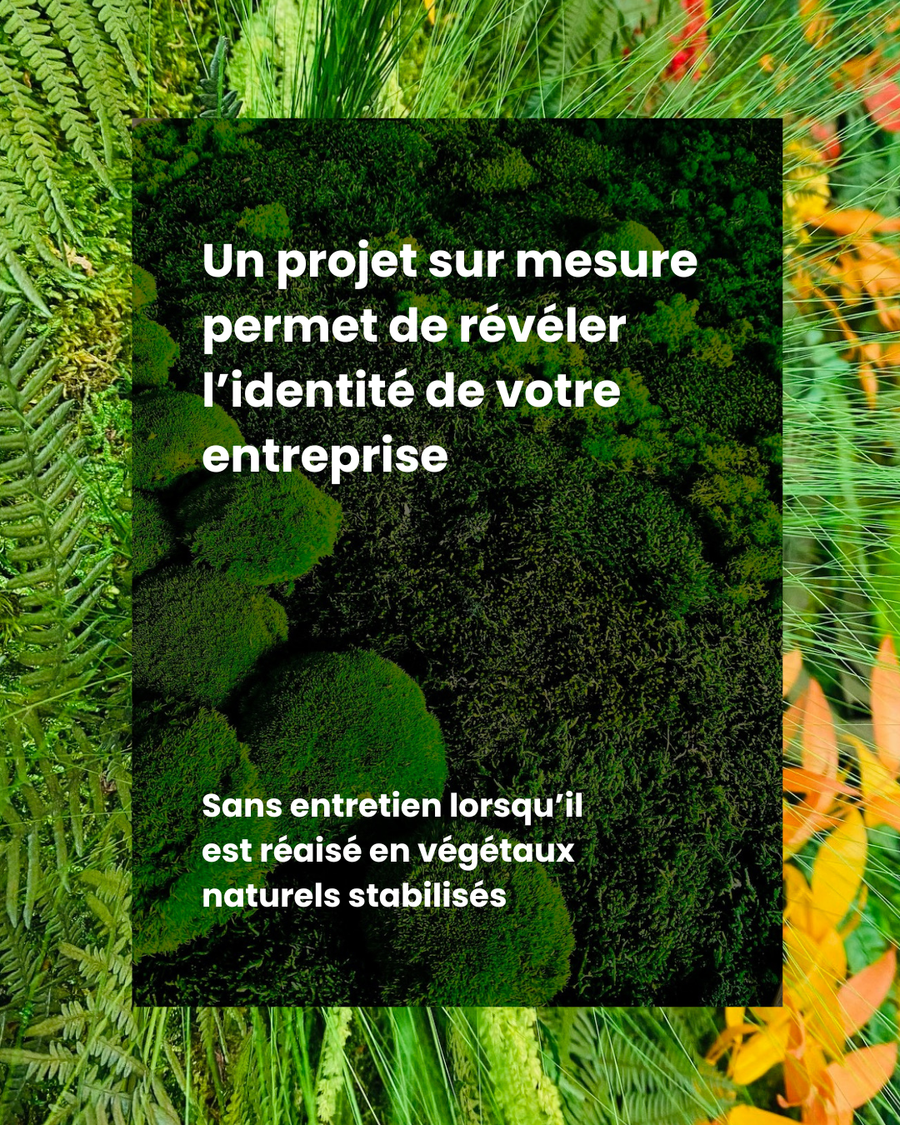 Comment l'aménagement de vos bureaux raconte votre culture d'entreprise ?