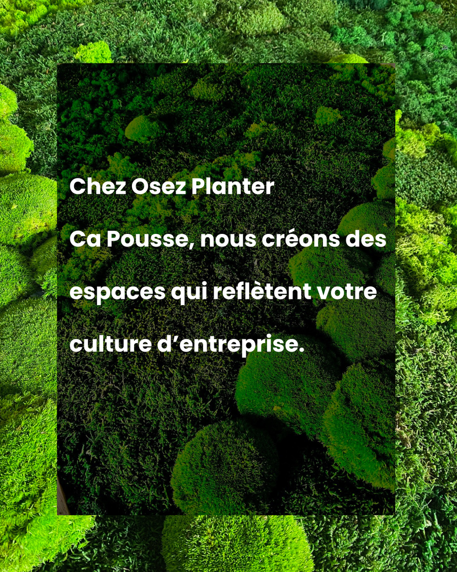 Comment l'aménagement de vos bureaux raconte votre culture d'entreprise ?