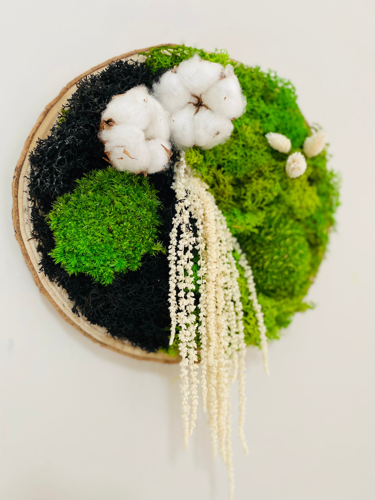 Rondin Vegetal Stabilise 'Coton Cristal'
