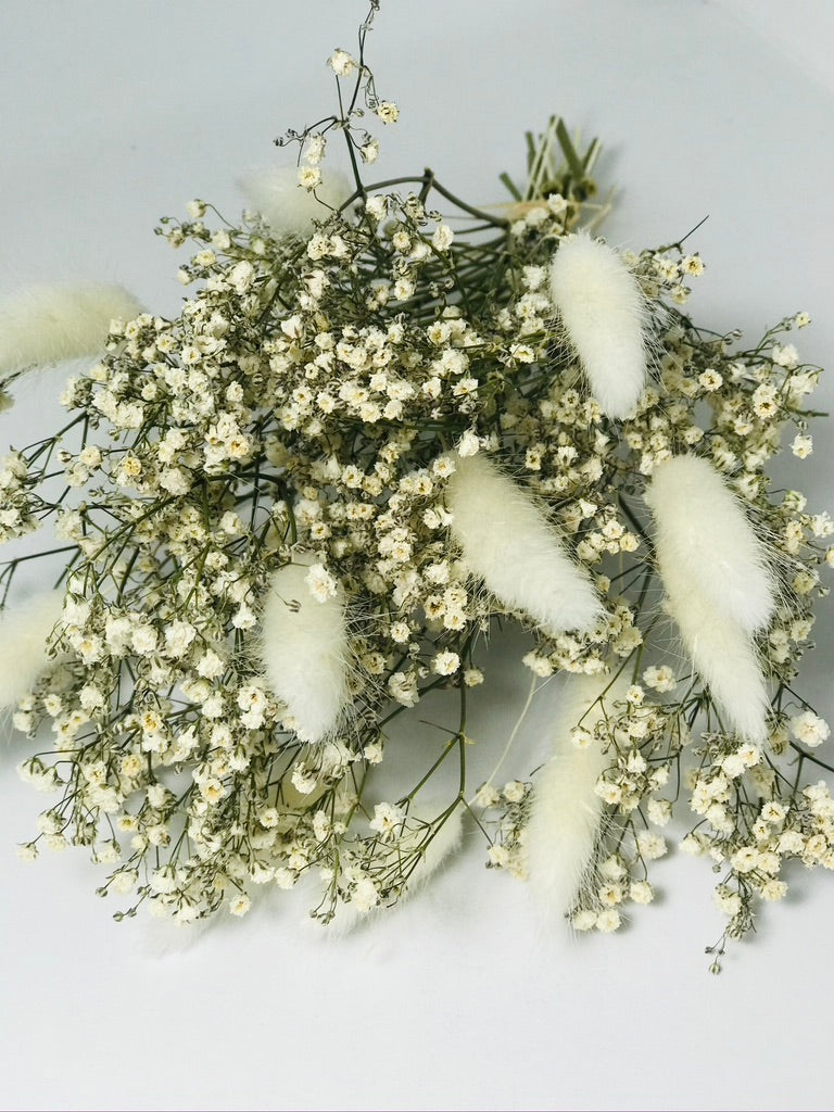 Bouquet de fleurs sechees Blanc