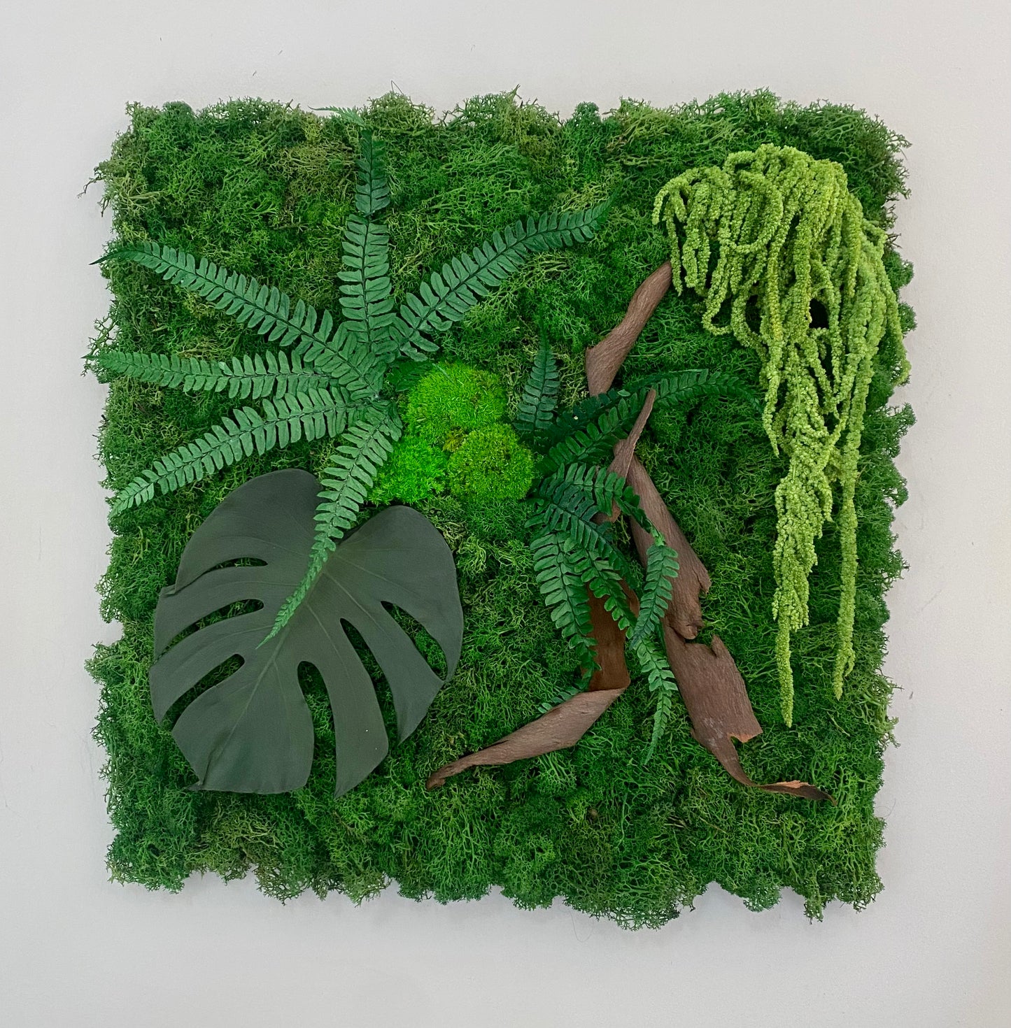 Signature Végétale 50 – Tableau végétal stabilisé relief 50x50 cm