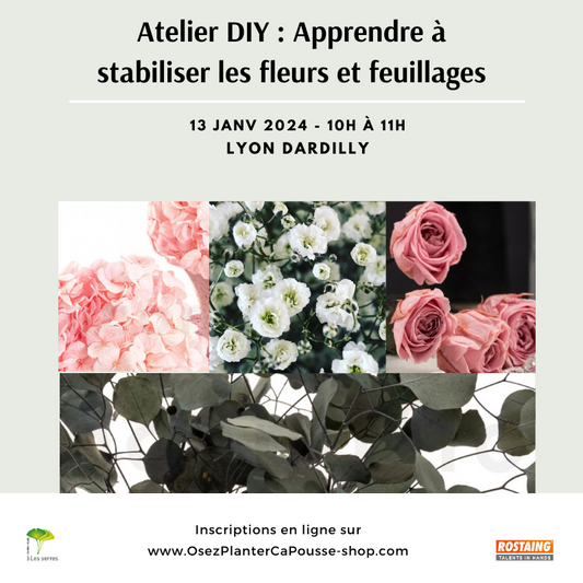 Atelier DIY : Apprendre a stabiliser les Fleurs et Feuillages -Sam 13/01/2024