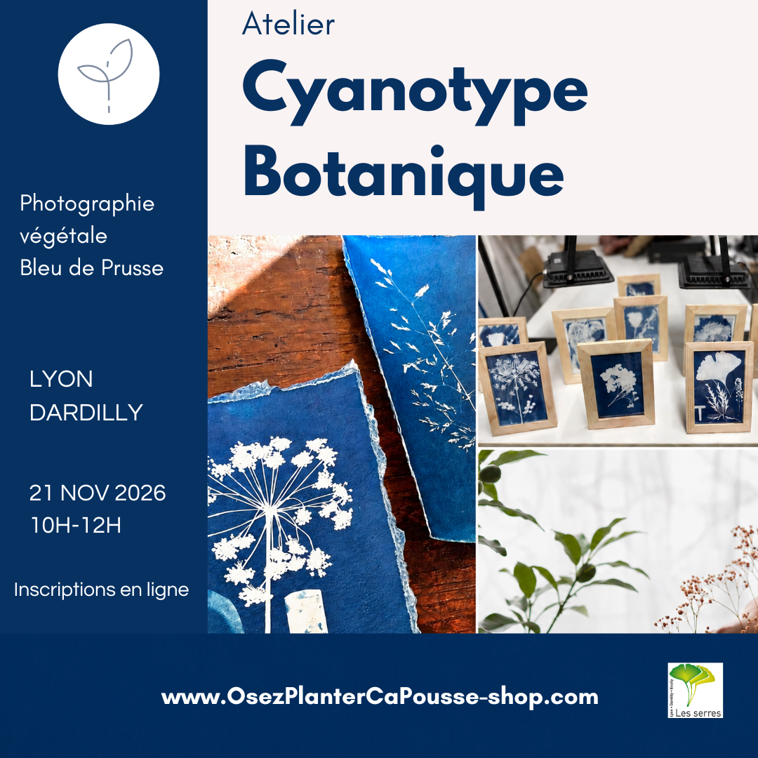 Affiche de l’atelier cyanotype botanique à Dardilly, avec des empreintes de fleurs et de feuillages blancs sur fond bleu