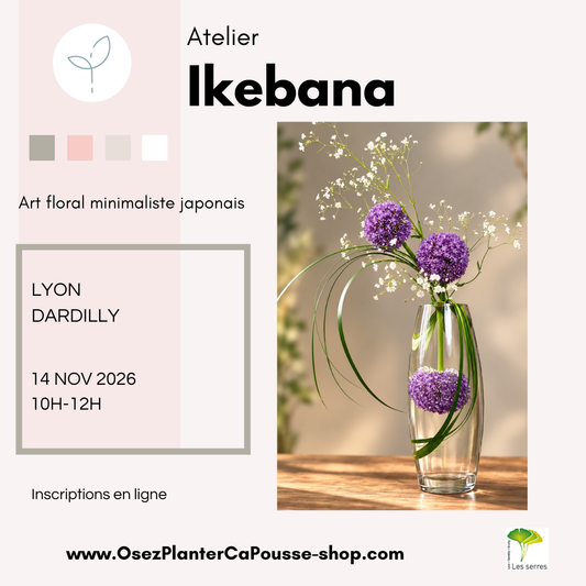 Atelier Ikebana à Lyon-Dardilly | Art floral japonais