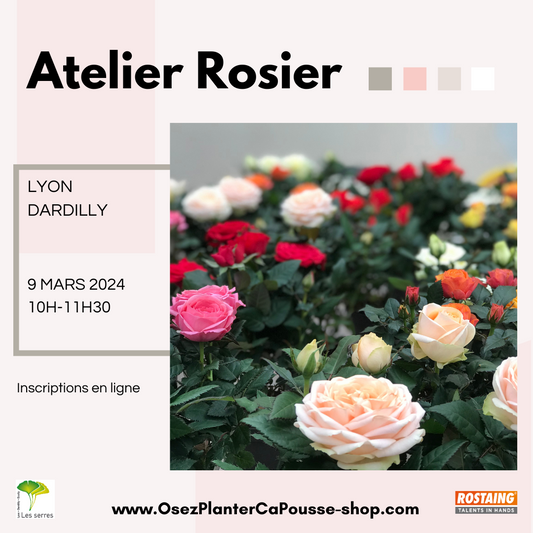 Atelier ROSIER -Sam 09/03/2024