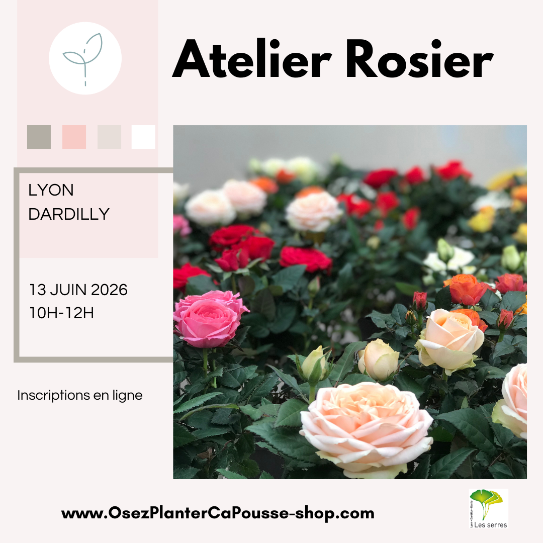 Atelier ROSIER