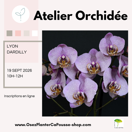 Atelier ORCHIDEE