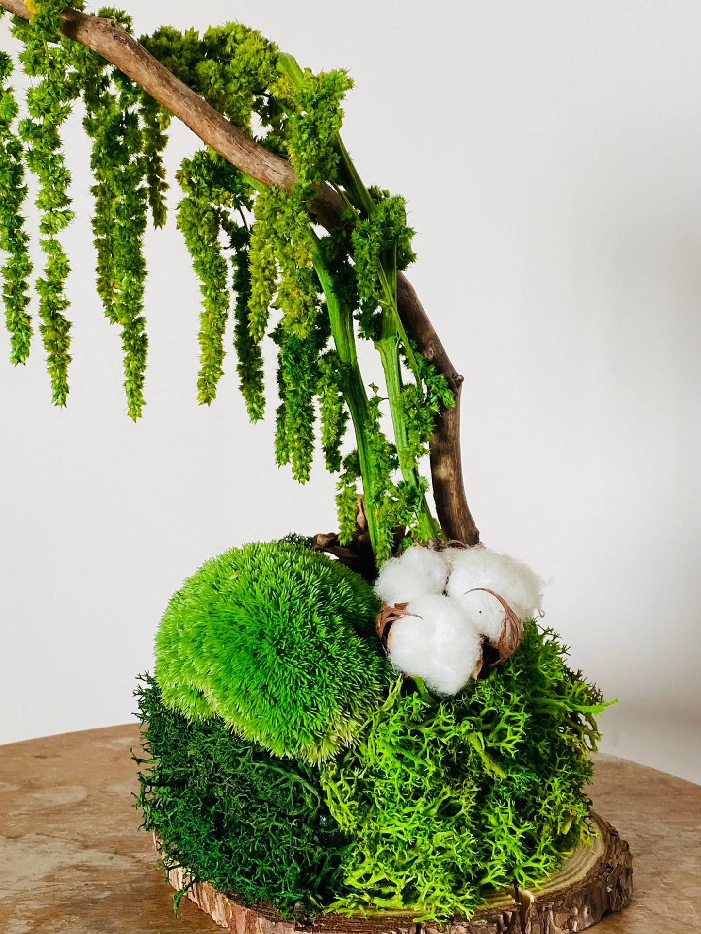 Green Wood en situation sur bureau ou étagère, décoration végétale zen
