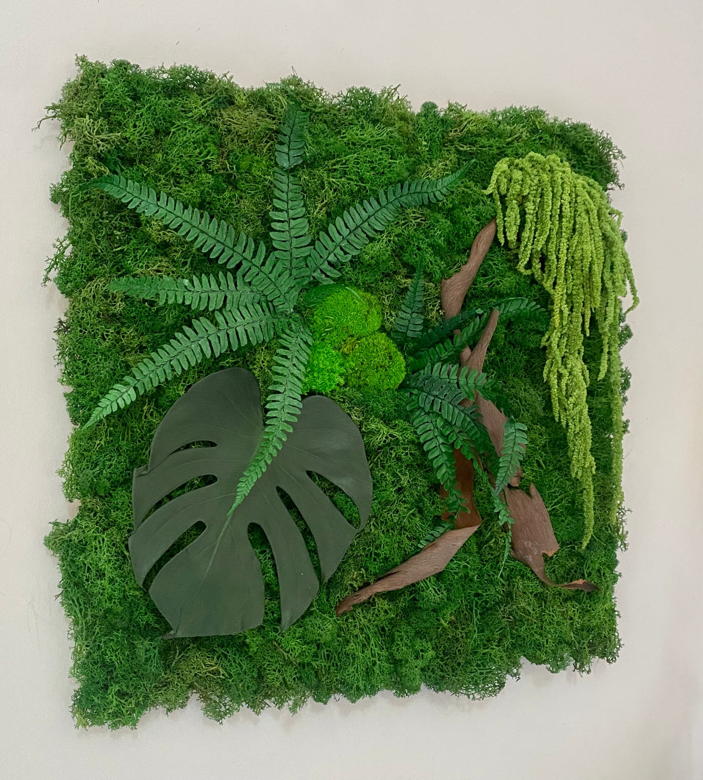 Signature Végétale 50 – Tableau végétal stabilisé relief 50x50 cm