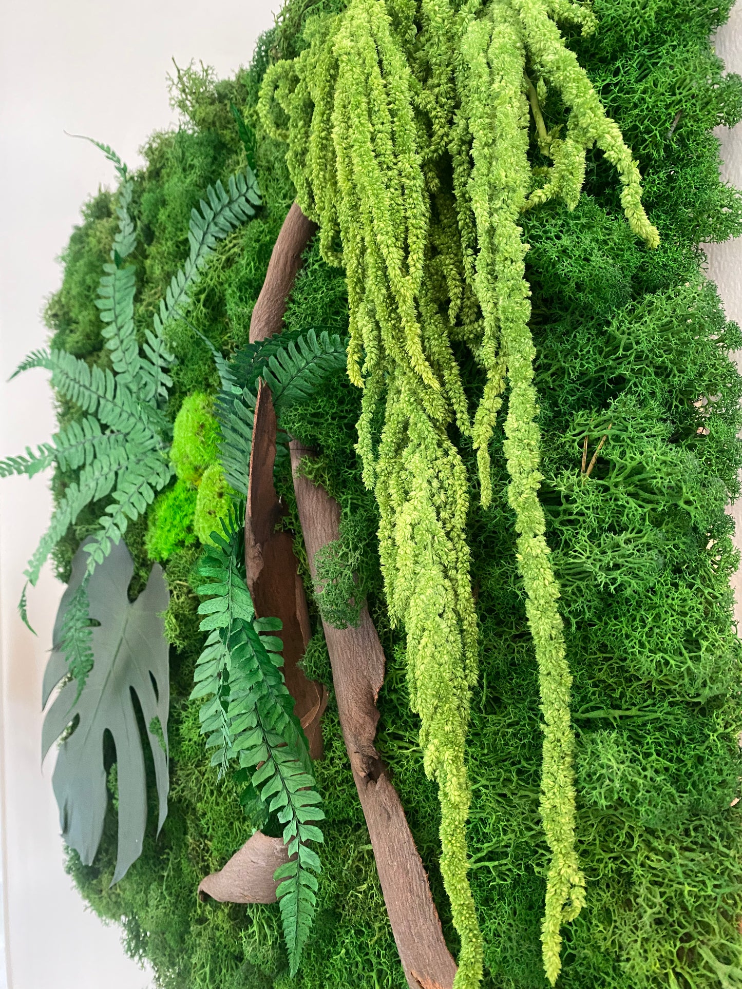 Signature Végétale 50 – Tableau végétal stabilisé relief 50x50 cm