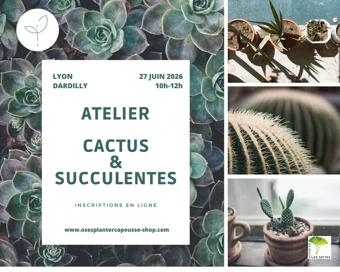 Atelier CACTUS & SUCCULENTES
