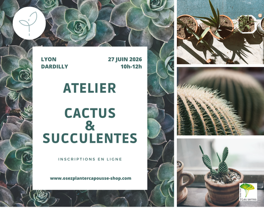 Atelier CACTUS & SUCCULENTES